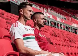 奥地利与波黑世预赛